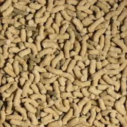 Aliment complet pour tortues aquatiques adultes Turtle Adult Raffy P Pellets 1L - Sera