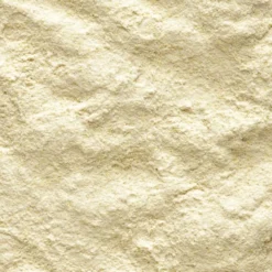 Aliment d’élevage à la main pour amazones, cacatoès, grandes perruches NutriBird A21 250g - Versele Laga