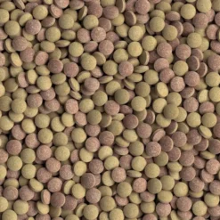 Aliment pour poissons de fond TabiMin Tablets 120 tabs - Tetra