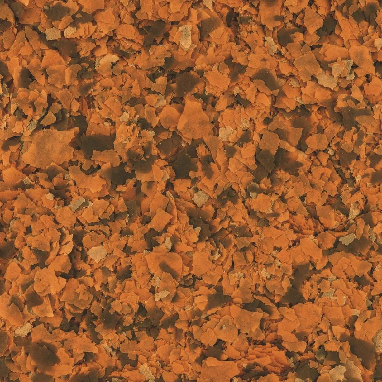 Aliment pour poissons spécial couleurs flocons Rubin Flakes 1L - Tetra