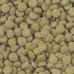 Aliment pour silures et loches Viformo Pleco Tabs Nature 64g - Sera