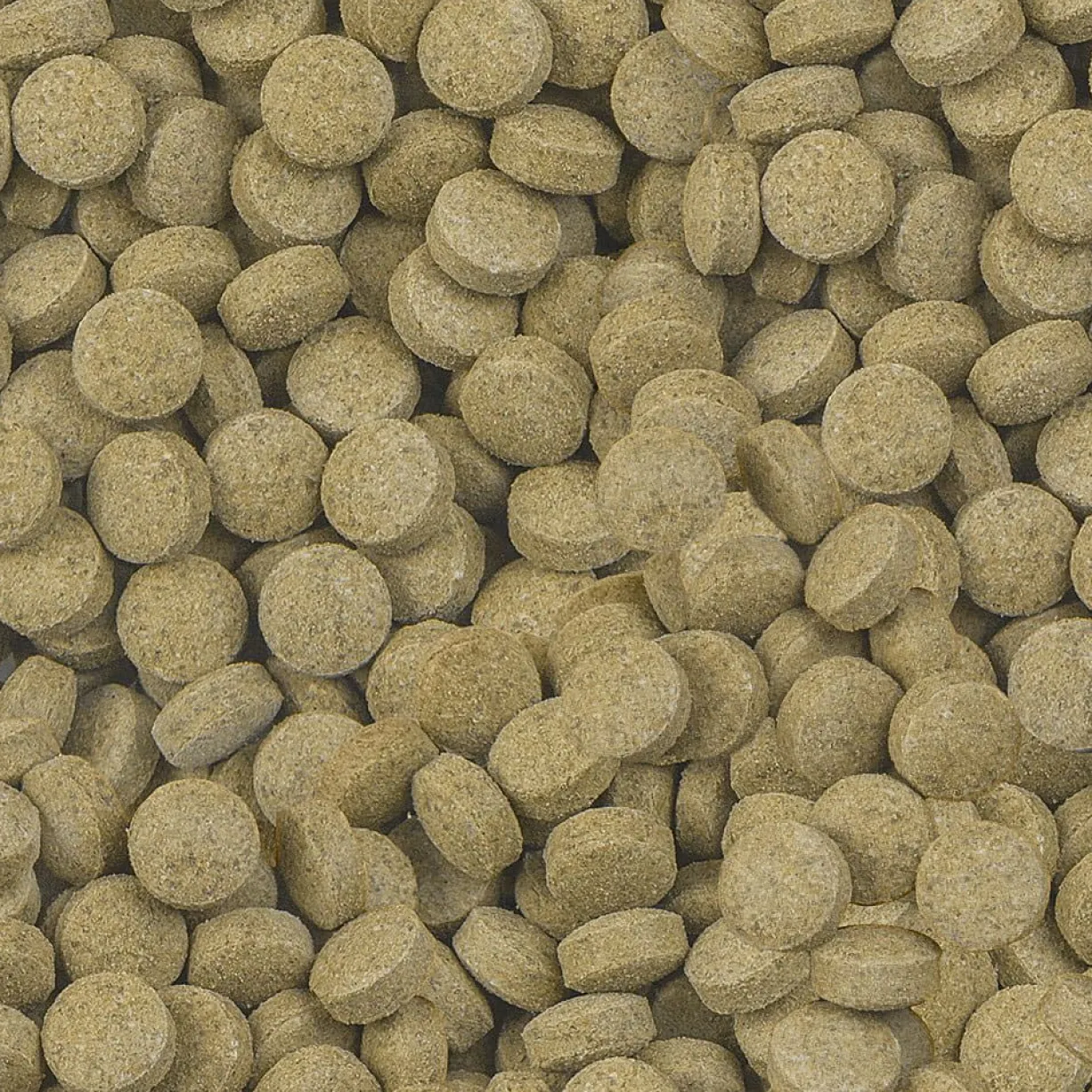 Aliment pour silures et loches Viformo Pleco Tabs Nature 64g - Sera