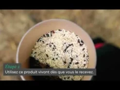 Anti mouche biologique Biowasp S - Bestico