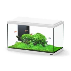 Aquarium poisson Explorer Paris Bio 58L blanc avec BioBox, rampe LED et chauffage - Aquatlantis