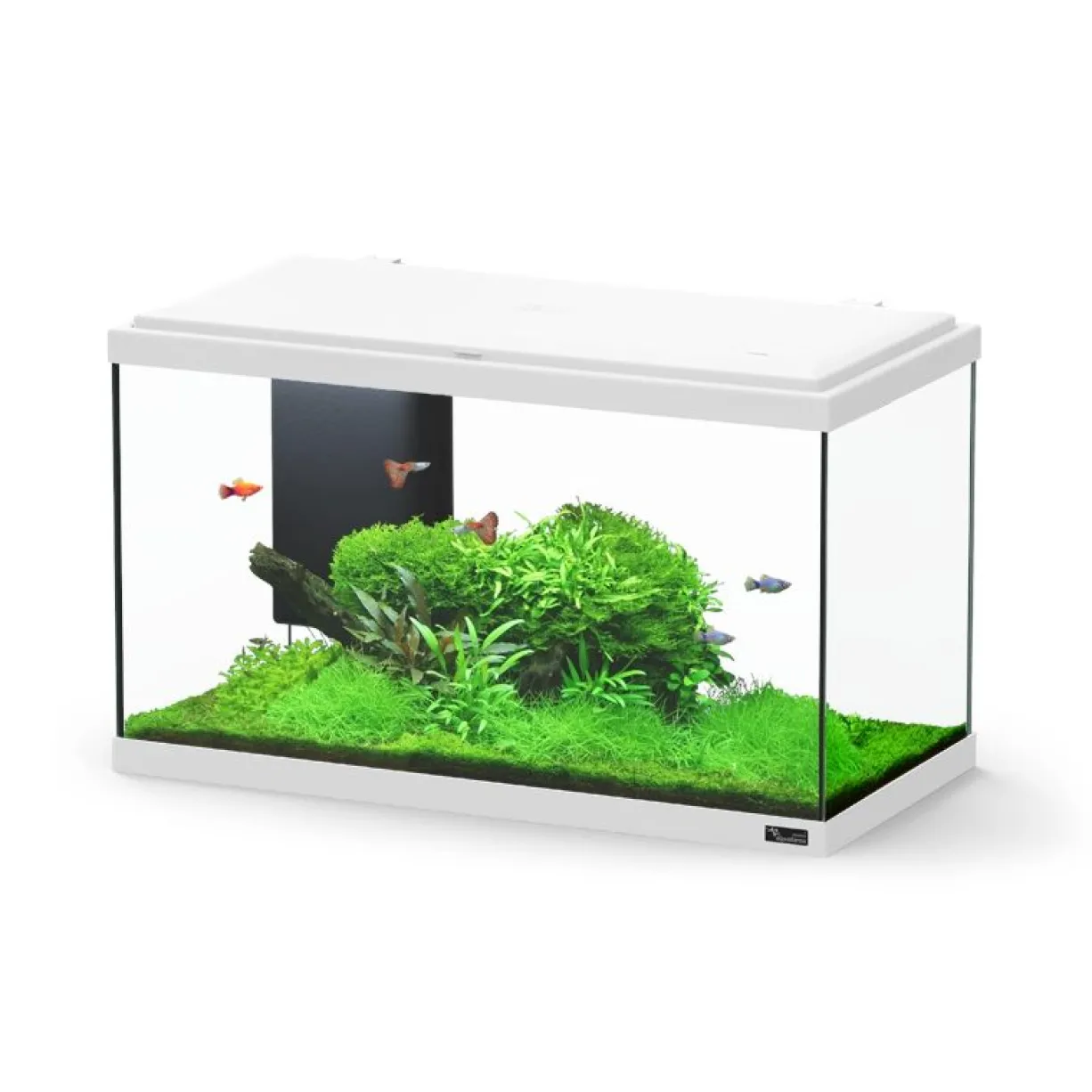 Aquarium poisson Explorer Paris Bio 58L blanc avec BioBox, rampe LED et chauffage - Aquatlantis