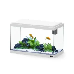 Aquarium poisson Explorer Vienna 42L blanc avec Bio Filter et rampe LED - Aquatlantis