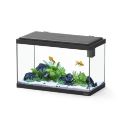 Aquarium poisson Explorer Vienna 42L noir avec Bio Filter et rampe LED - Aquatlantis