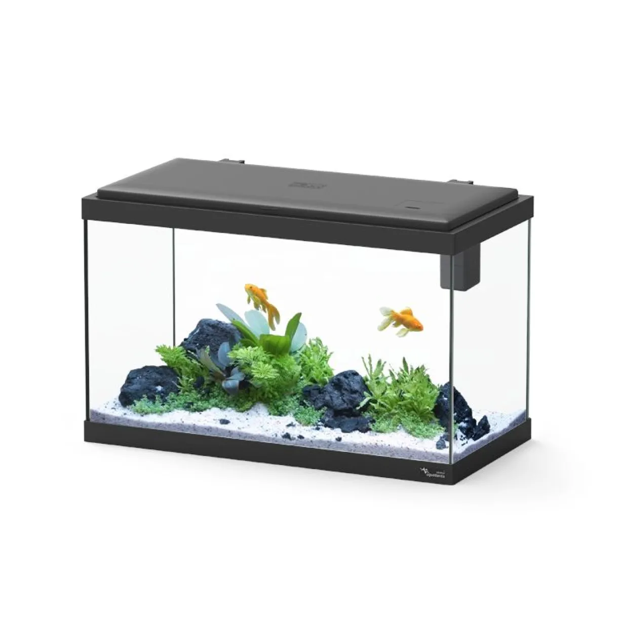 Aquarium poisson Explorer Vienna 42L noir avec Bio Filter et rampe LED - Aquatlantis