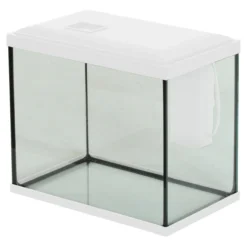 Aquarium poisson Initio 30cm blanc - Zolux