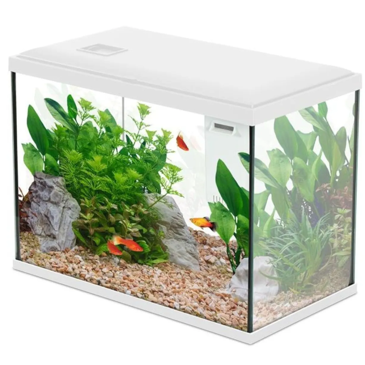Aquarium poisson Initio 40cm blanc - Zolux
