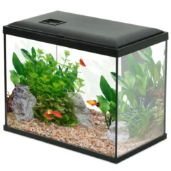 Aquarium poisson Initio 35cm noir - Zolux