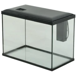 Aquarium poisson Initio 40cm noir - Zolux