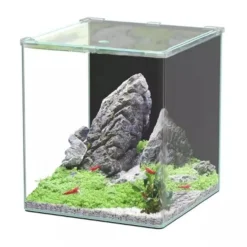Aquarium poisson Kubus Curve 44L Basic - Aquatlantis