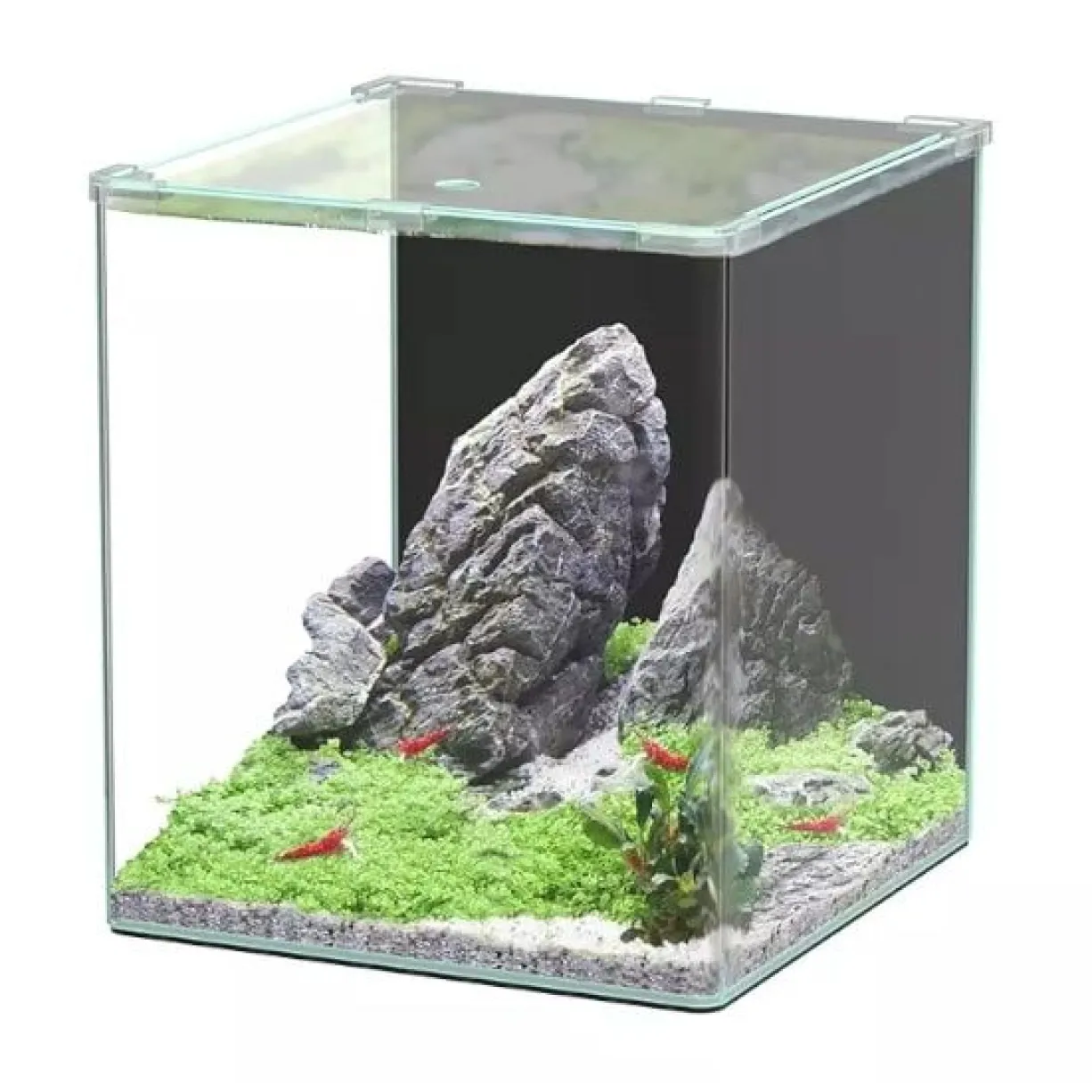 Aquarium poisson Kubus Curve 44L Basic - Aquatlantis