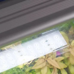 Aquarium poisson Kubus Curve 20L Essential avec Bio Filter et LED - Aquatlantis