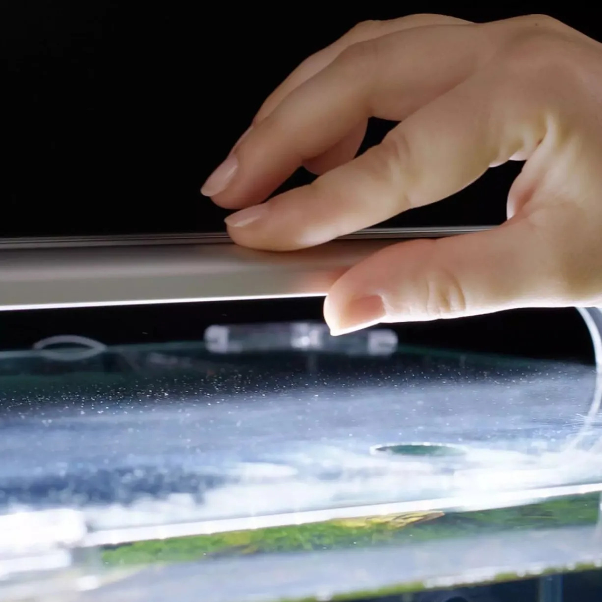Aquarium poisson Kubus Curve 44L Essential avec Bio Filter et LED - Aquatlantis