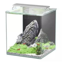 Aquarium poisson Kubus Curve 44L Essential avec Bio Filter et LED - Aquatlantis