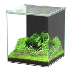 Aquarium poisson Kubus Curve 30L Basic - Aquatlantis