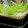 Aquarium poisson Kubus Curve 20L Basic - Aquatlantis