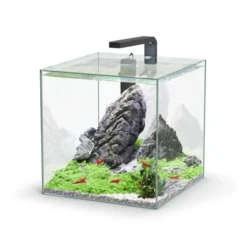 Aquarium poisson Kubus 33L noir - Aquatlantis