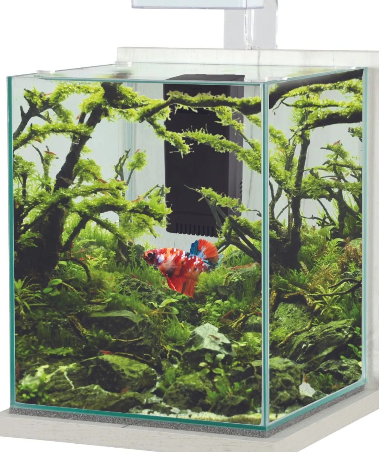 Aquarium poisson équipé 18,7 litres Jalaya XL cérusé blanc - Zolux