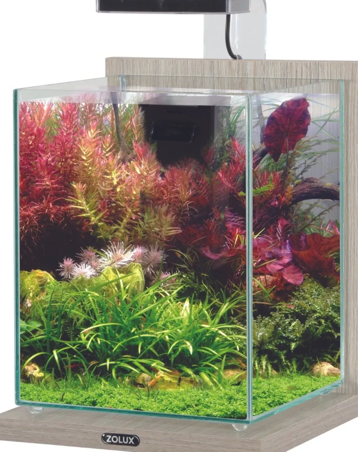 Aquarium poisson équipé 10 litres Jalaya 2 zebrano gris - Zolux