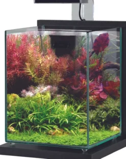 Aquarium poisson équipé 10 litres Jalaya 2 gris anthracite - Zolux