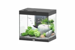 Aquarium poisson Splendid 60 LED 2.0 et BioBox - Aquatlantis