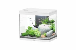 Aquarium poisson Splendid 60 LED 2.0 et BioBox - Aquatlantis