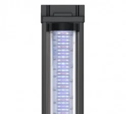 Aquarium poisson Splendid 60 LED 2.0 et BioBox - Aquatlantis