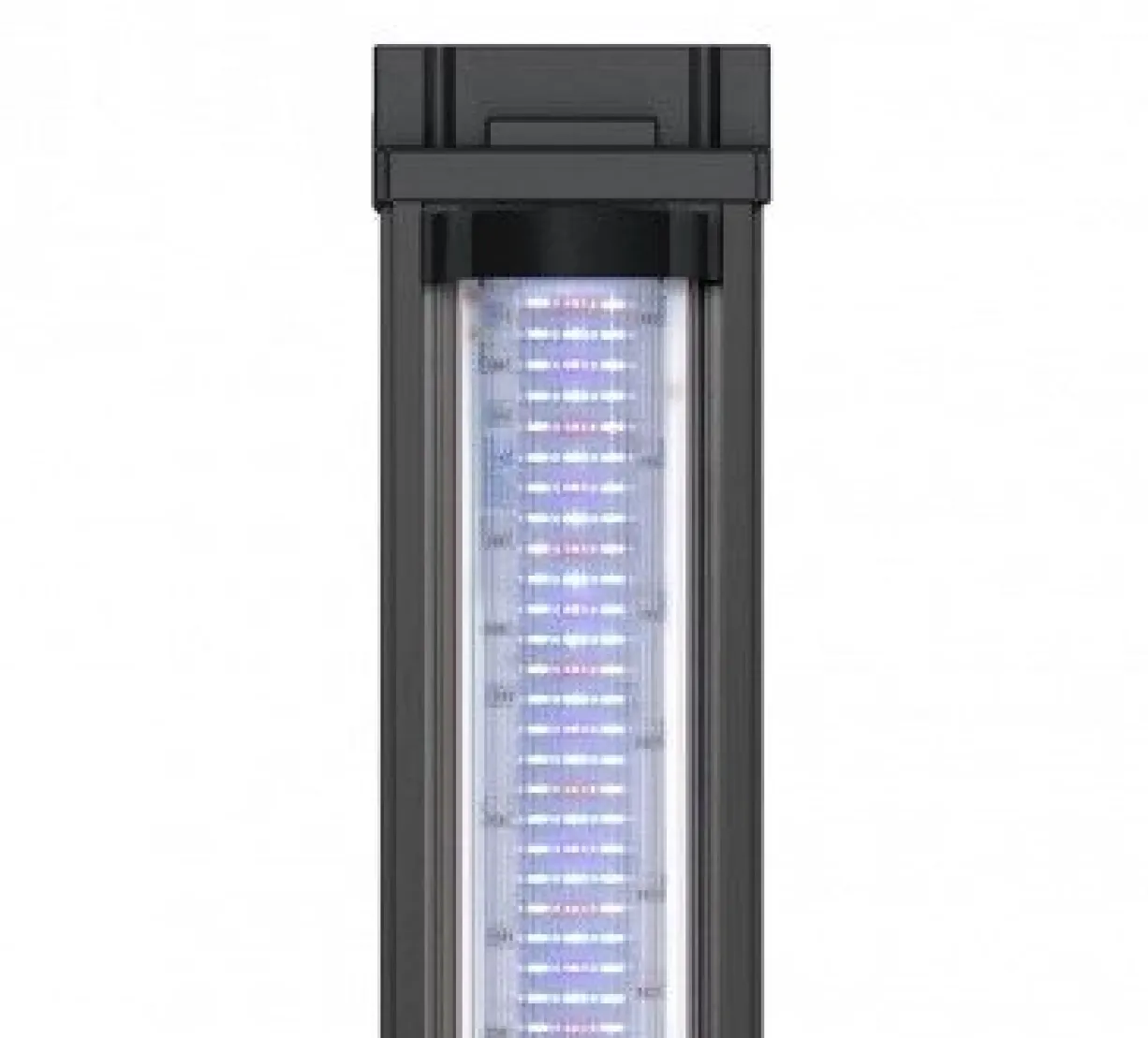 Aquarium poisson Splendid 60 LED 2.0 et BioBox - Aquatlantis