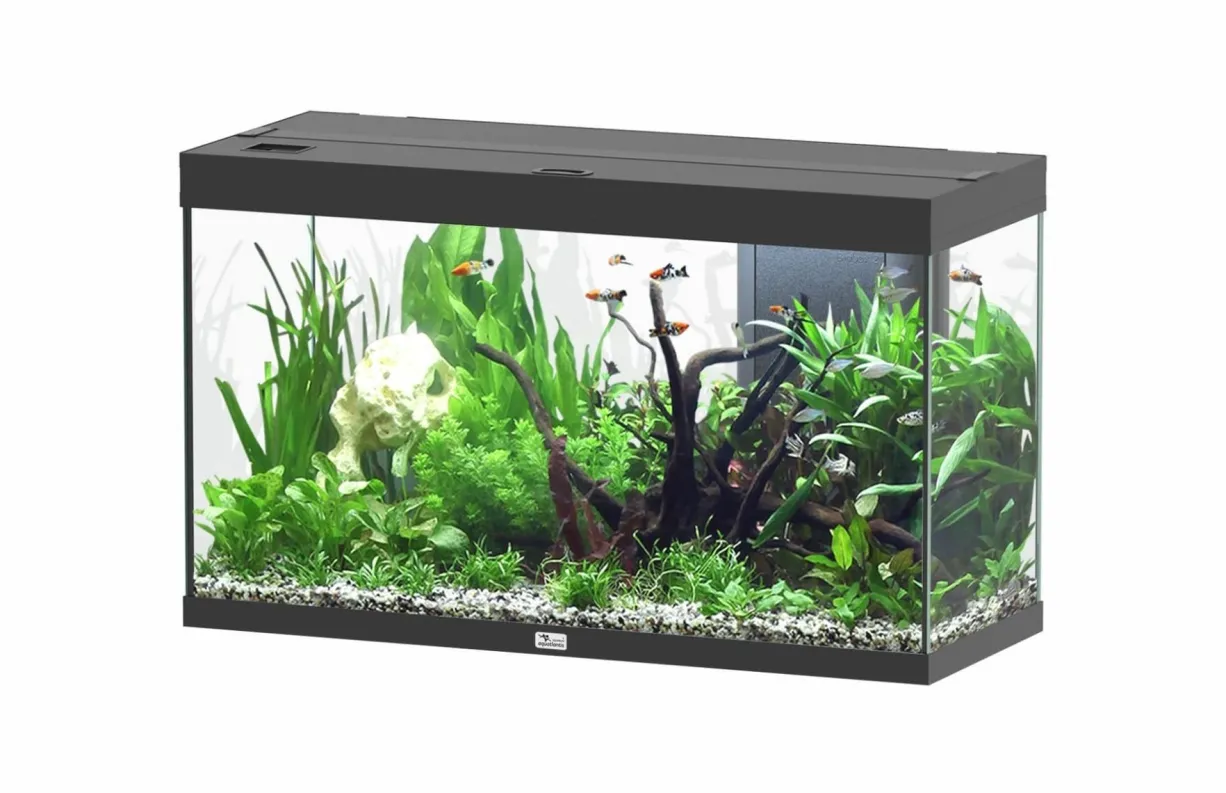 Aquarium poisson Splendid 100 LED 2.0 et Biobox - Aquatlantis