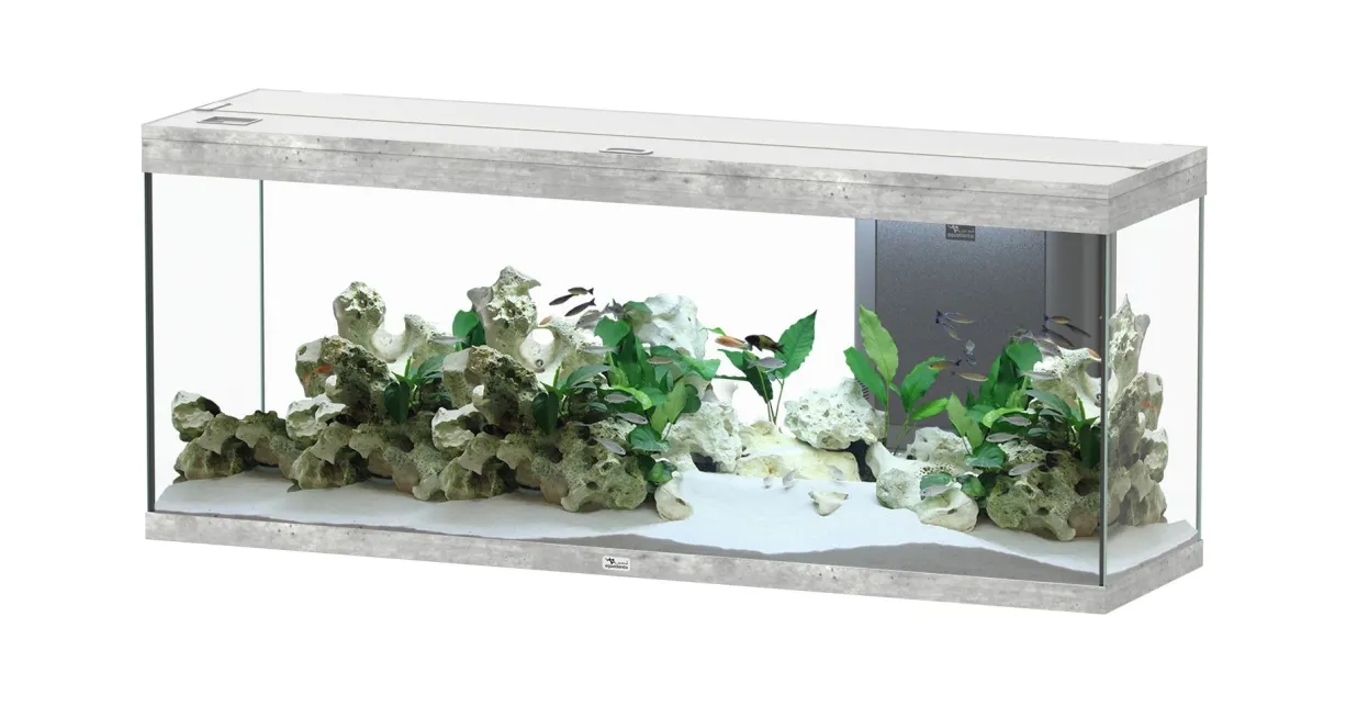 Aquarium poisson Splendid 150 LED 2.0 et BioBox - Aquatlantis