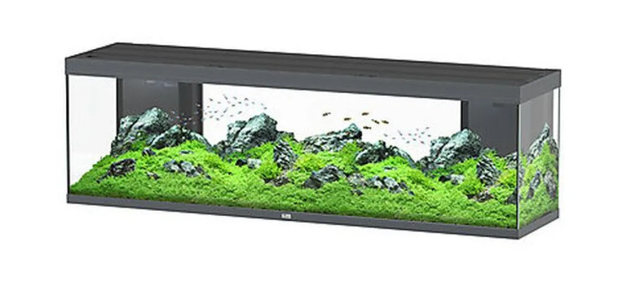 Aquarium poisson Splendid 200 LED 2.0 et BioBox - Aquatlantis