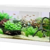 Aquarium poisson Tana LED 80cm blanc - Zolux