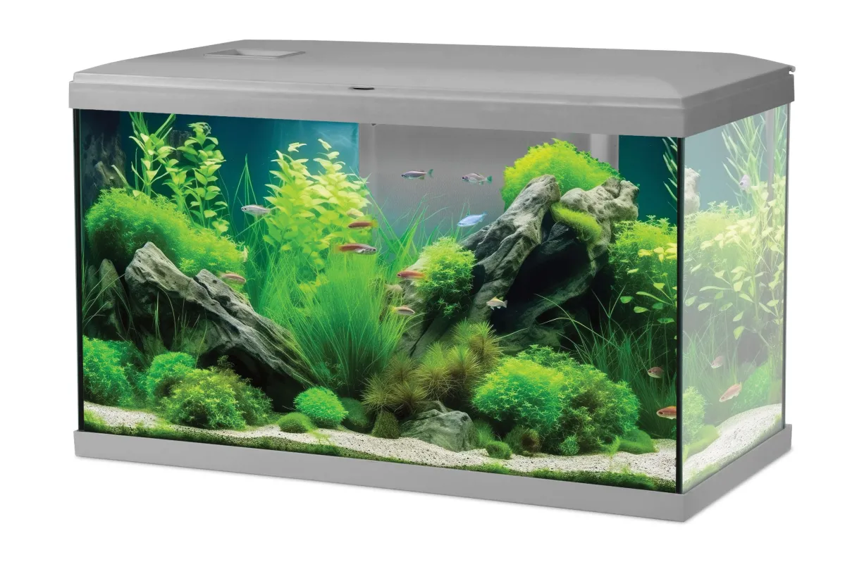 Aquarium poisson Tana LED 60cm gris - Zolux