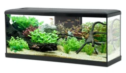 Aquarium poisson Tana LED 100cm noir - Zolux