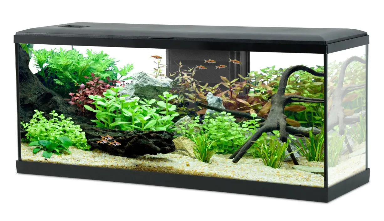 Aquarium poisson Tana LED 100cm noir - Zolux