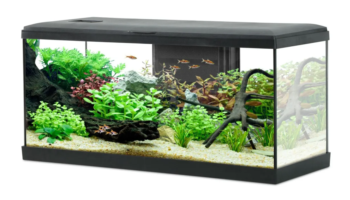 Aquarium poisson Tana LED 80cm noir - Zolux