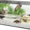 Aquarium tortue Karapas Aqua 100 Pro noir - Zolux