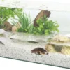 Aquarium tortue Karapas Aqua 80 Pro blanc - Zolux