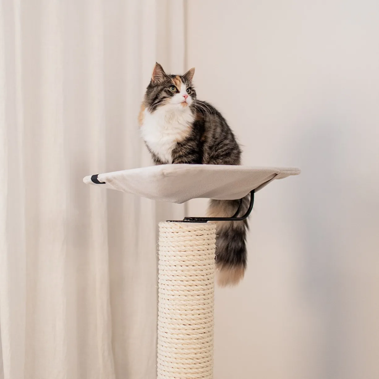 Arbre à chat griffoir sisal Iwaki 92cm - Ebi
