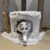 Arbre à chat Oslo Long Hair Pluche beige 122cm - Ebi