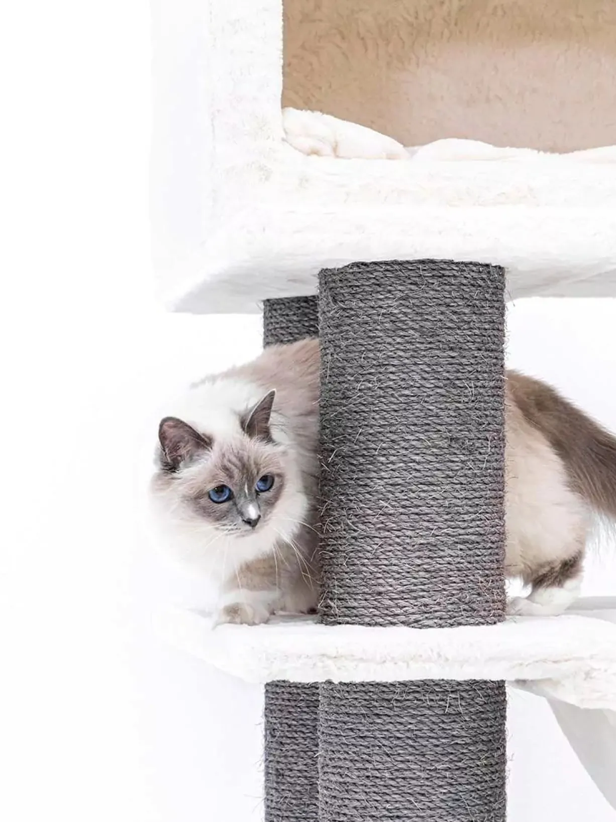 Arbre à chat sisal et fourrure Lookout 198 blanc - PetRebels
