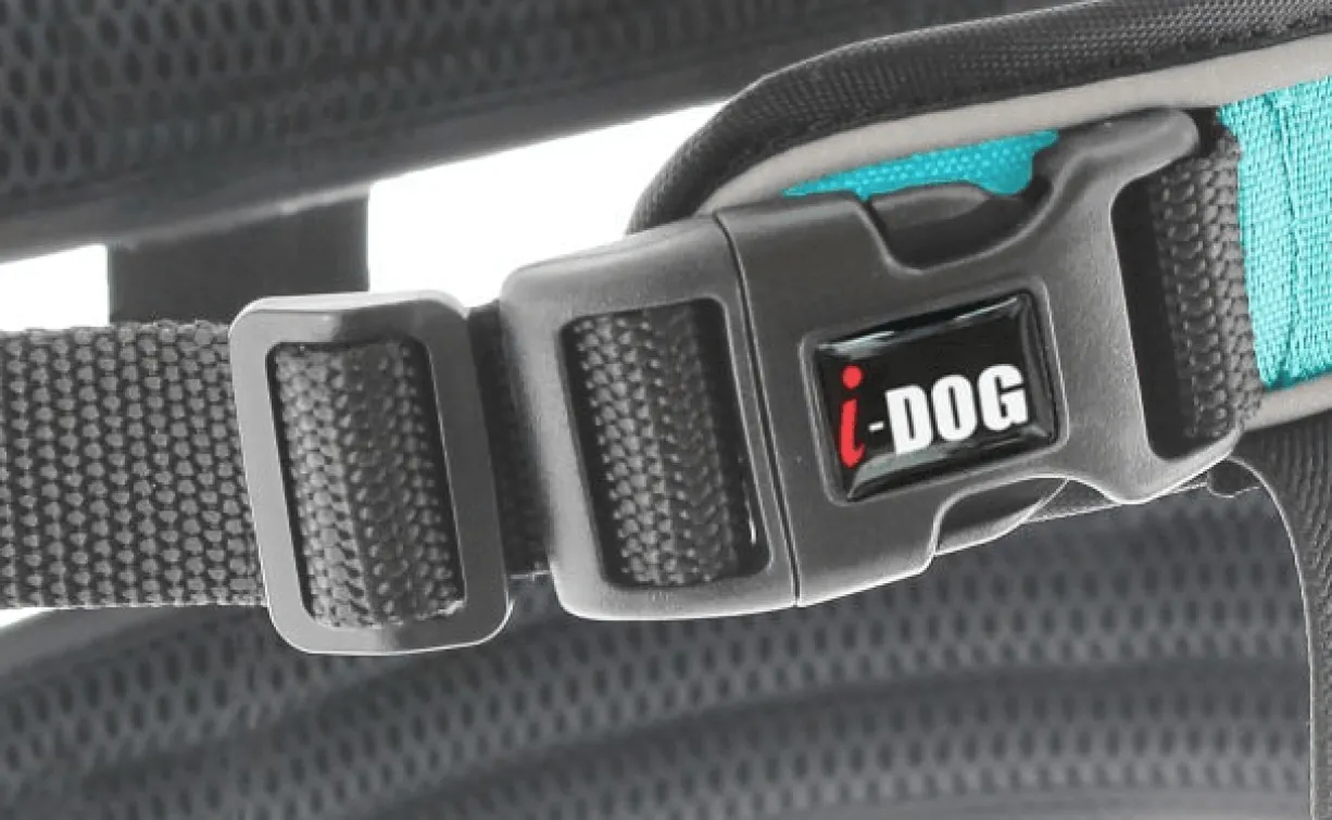 Baudrier Canyon ALM Bleu - I-Dog