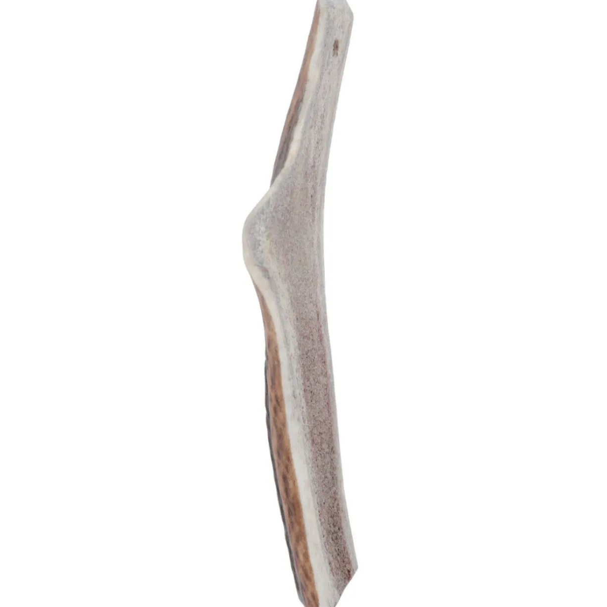 Bois de cerf naturel à mastiquer friandise chien moins de 10kg Easy - Zolux