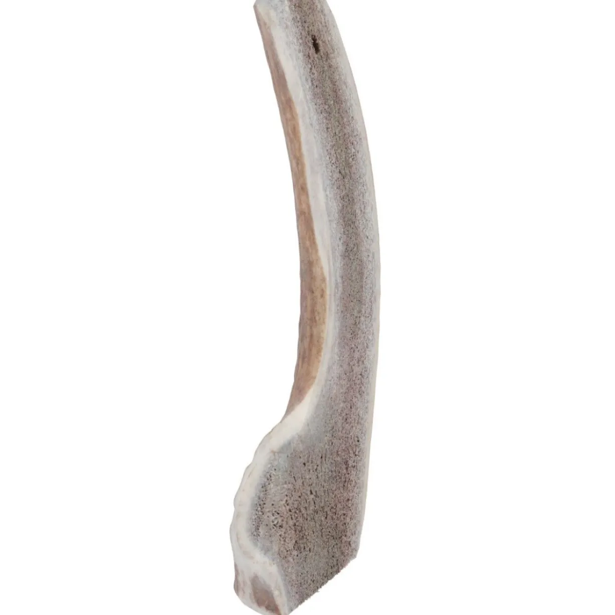 Bois de cerf naturel à mastiquer friandise chien moins de 20kg Easy - Zolux