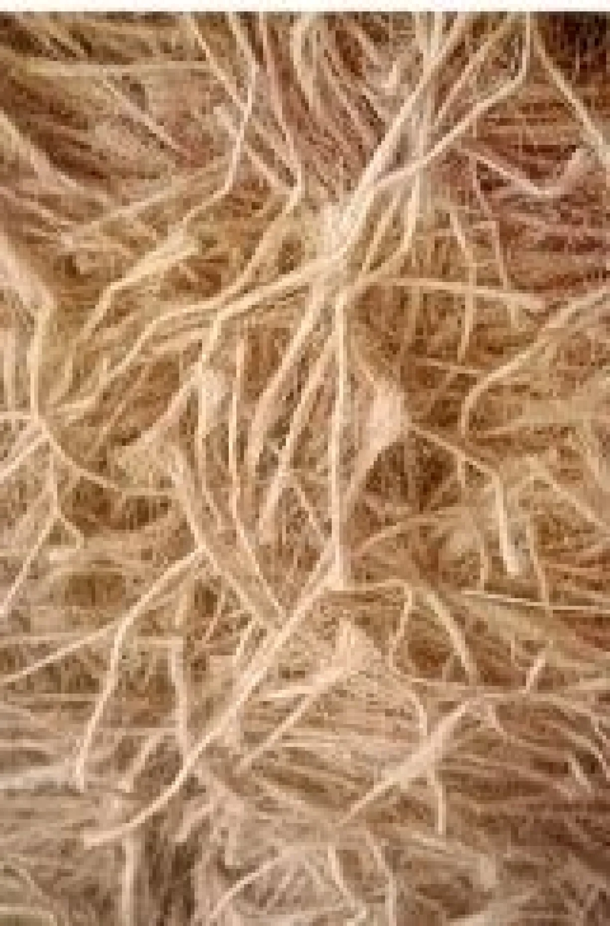Bourre nid jute 1 Kg pour oiseaux 2 GR
