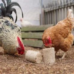 Briquettes de vannure d’épeautre poule x 24 - Kerbl