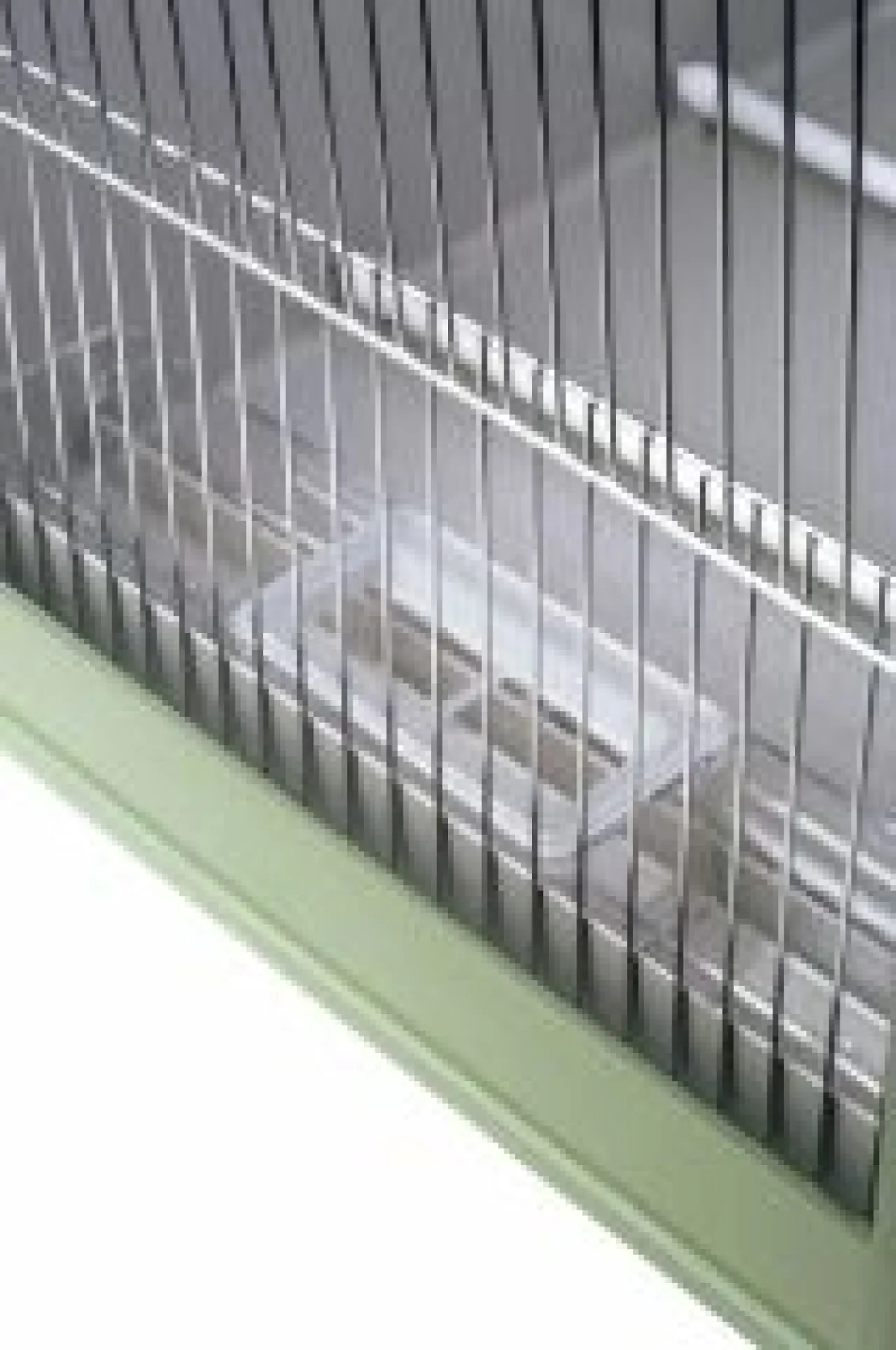 Cage de transport avec grille télescopique pour oiseaux 2GR